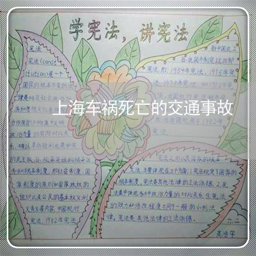 上海车祸死亡的交通事故/2023041123726 上海车祸死亡的交通事故/2023041123726