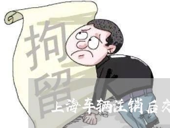 上海车辆注销后交通肇事/2023041119692