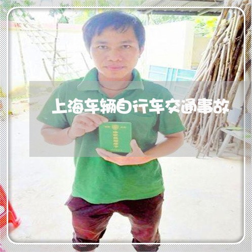 上海车辆自行车交通事故/2023021637059 上海车辆自行车交通事故/2023021637059