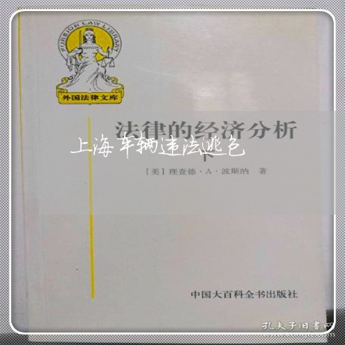 上海车辆违法逃包
