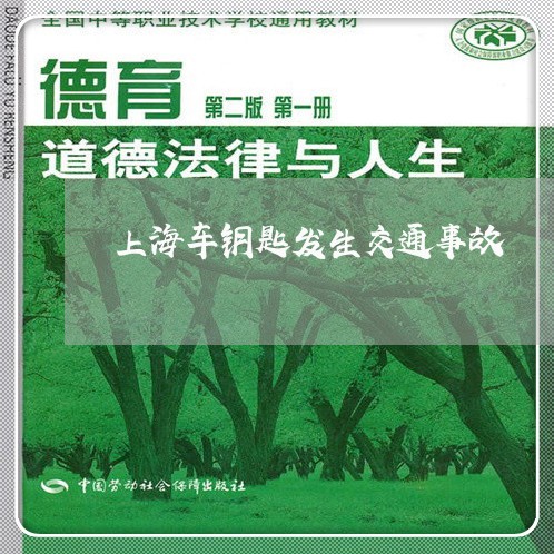 上海车钥匙发生交通事故/2023021681703 上海车钥匙发生交通事故/2023021681703