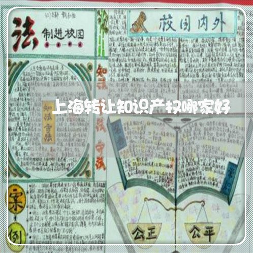 上海转让知识产权哪家好/2023021683614 上海转让知识产权哪家好/2023021683614
