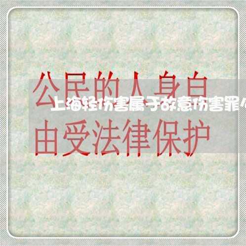 上海轻伤害属于故意伤害罪么/2023032269370