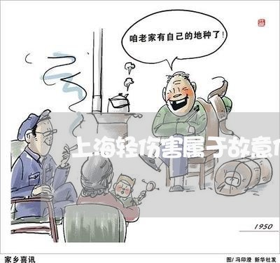 上海轻伤害属于故意伤害罪么/2023032270314