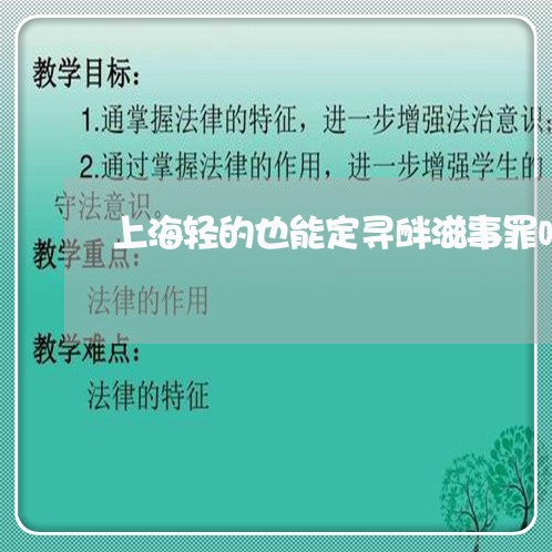 上海轻的也能定寻衅滋事罪吗/2023032265179