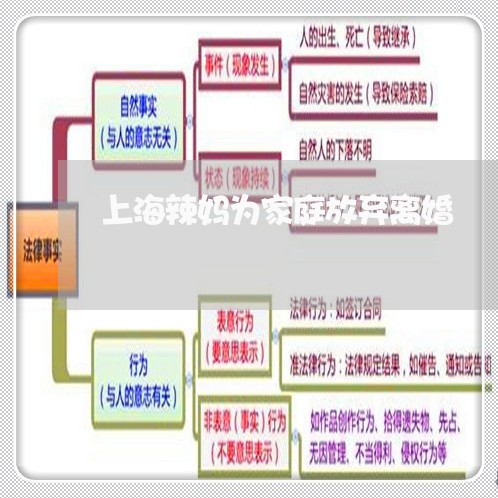 上海辣妈为家庭放弃离婚/2023021671585 上海辣妈为家庭放弃离婚/2023021671585