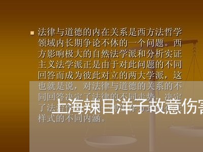 上海辣目洋子故意伤害罪/2023041114058