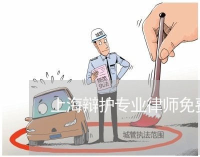 上海辩护专业律师免费咨询