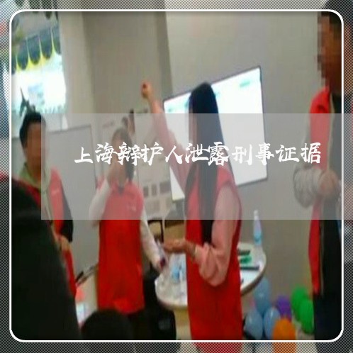 上海辩护人泄露刑事证据/2023041175737