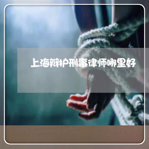 上海辩护刑事律师哪里好/2023041127460