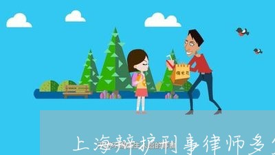 上海辩护刑事律师多少钱/2023041173712