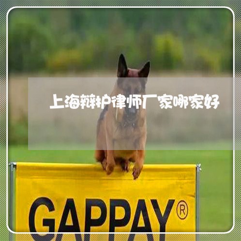 上海辩护律师厂家哪家好/2023021607030 上海辩护律师厂家哪家好/2023021607030