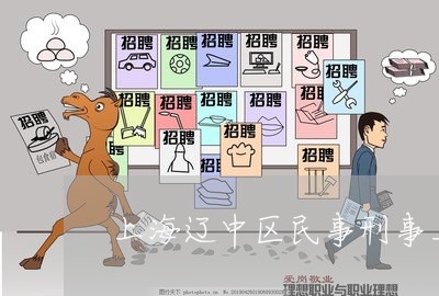 上海辽中区民事刑事上诉律师/2023032261684 上海辽中区民事刑事上诉律师/2023032261684