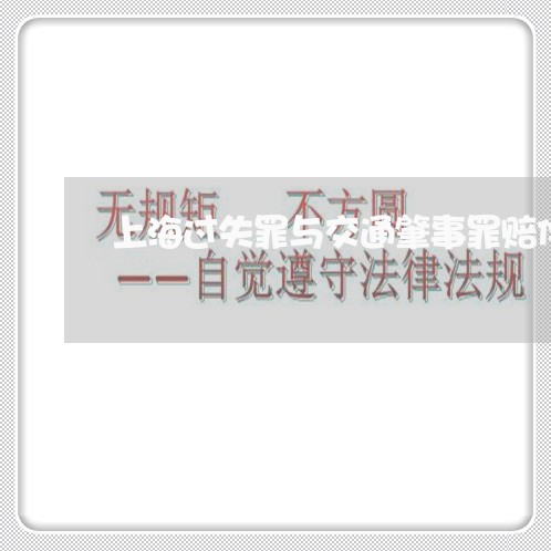 上海过失罪与交通肇事罪赔偿/2023032276392 上海过失罪与交通肇事罪赔偿/2023032276392