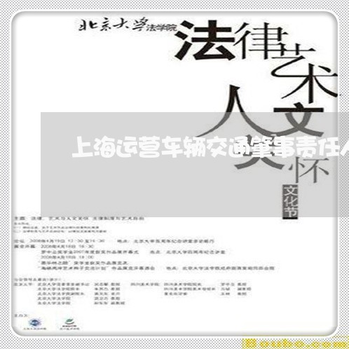 上海运营车辆交通肇事责任人/2023032226039 上海运营车辆交通肇事责任人/2023032226039