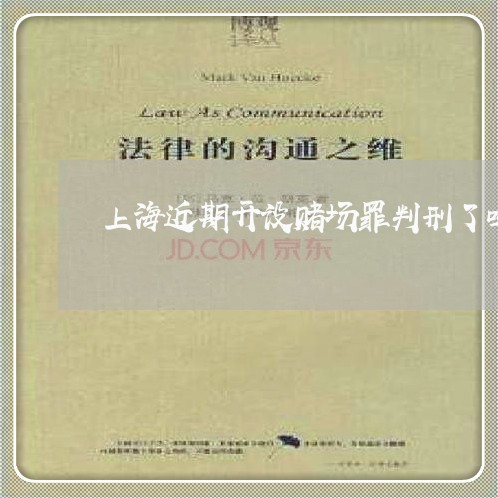 上海近期开设赌场罪判刑了吗/2023032258592