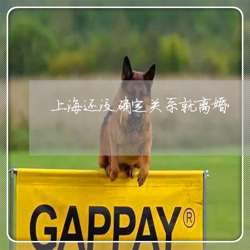 上海还没确定关系就离婚/2023041160817 上海还没确定关系就离婚/2023041160817