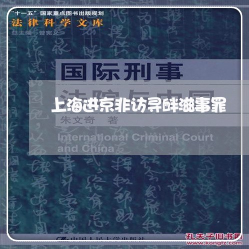 上海进京非访寻衅滋事罪/2023021639162 上海进京非访寻衅滋事罪/2023021639162