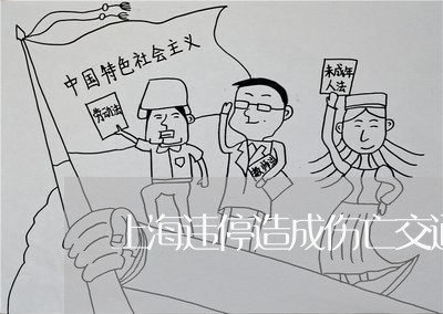上海违停造成伤亡交通肇事罪/2023032259281 上海违停造成伤亡交通肇事罪/2023032259281