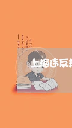 上海违反规定的交通事故/2023041173848