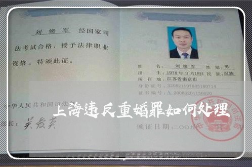 上海违反重婚罪如何处理/2023021615938 上海违反重婚罪如何处理/2023021615938