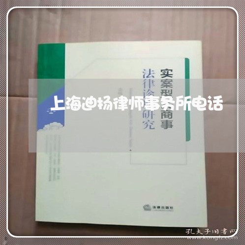 上海迪扬律师事务所电话/2023041167381