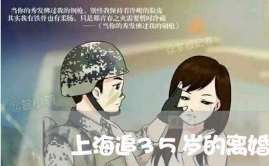 上海追35岁的离婚女人/2023021694947 上海追35岁的离婚女人/2023021694947