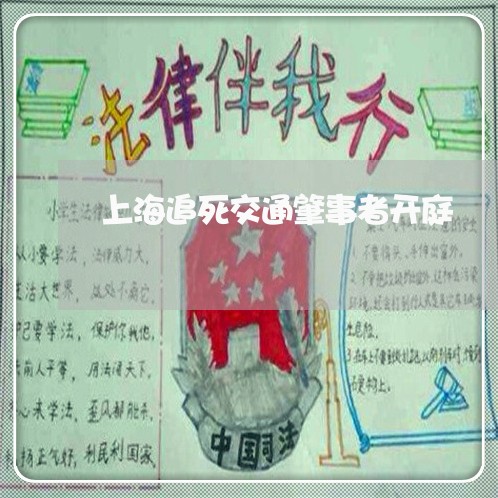 上海追死交通肇事者开庭/2023041140604 上海追死交通肇事者开庭/2023041140604