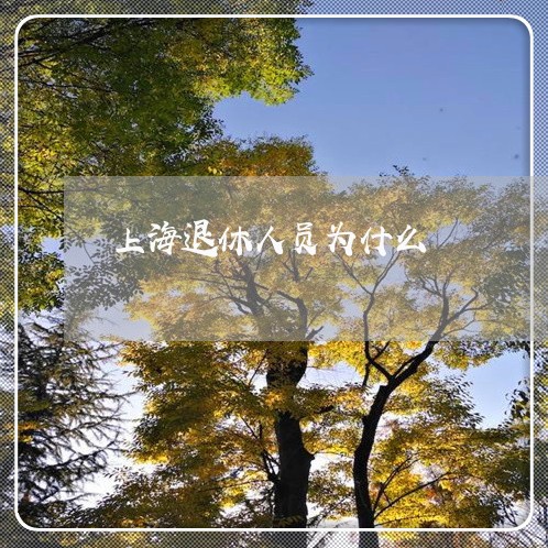 上海退休人员为什么/2023021605250