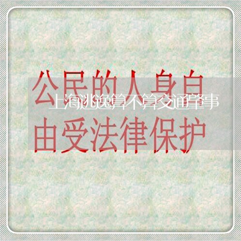 上海逃逸算不算交通肇事/2023021673604 上海逃逸算不算交通肇事/2023021673604