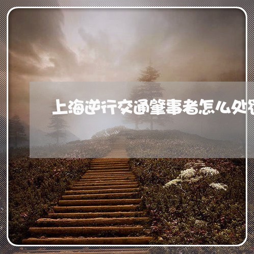 上海逆行交通肇事者怎么处罚/2023032247069