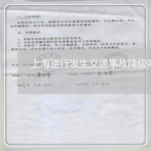 上海逆行发生交通事故降级吗/2023032226158