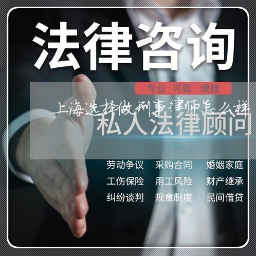 上海选择做刑事律师怎么样/2023031810595