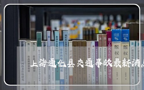 上海通化县交通事故最新消息/2023032242485