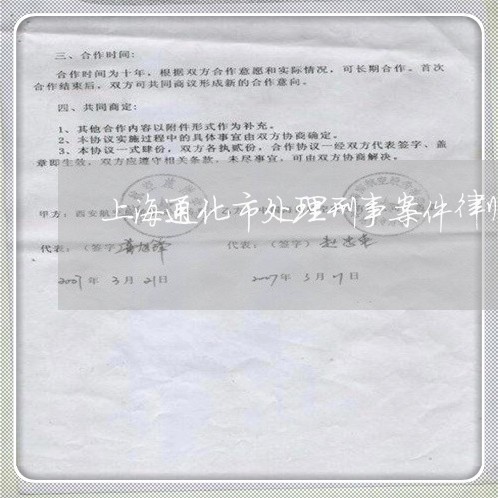 上海通化市处理刑事案件律师/2023032261593 上海通化市处理刑事案件律师/2023032261593