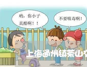 上海通州镇茶山交通事故最新/2023032207047 上海通州镇茶山交通事故最新/2023032207047