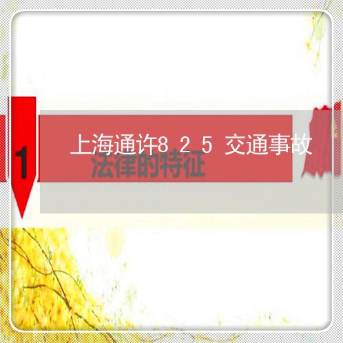 上海通许825交通事故/2023021640481 上海通许825交通事故/2023021640481