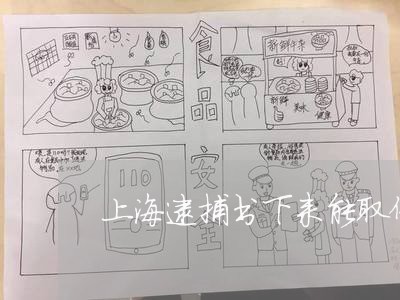 上海逮捕书下来能取保候审吗/2023032236282