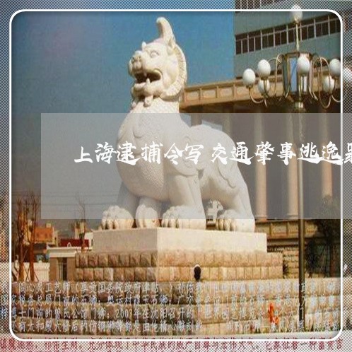 上海逮捕令写交通肇事逃逸罪/2023032263505