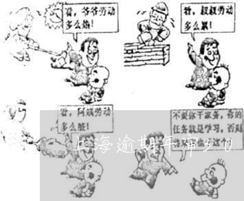 上海逾期年审30天以内 上海逾期年审30天以内