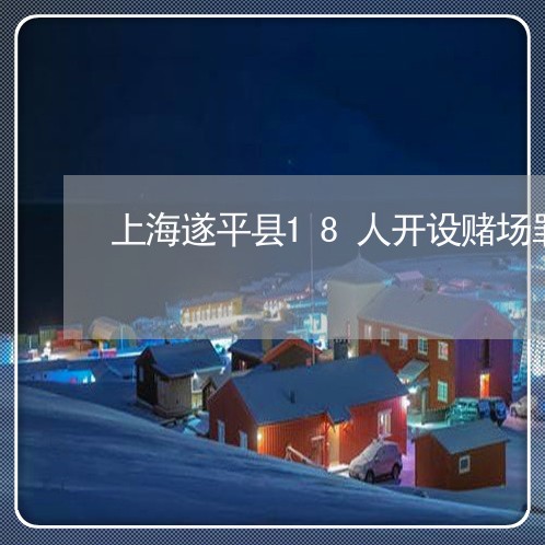 上海遂平县18人开设赌场罪/2023032262138 上海遂平县18人开设赌场罪/2023032262138