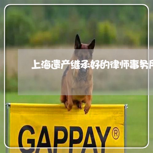 上海遗产继承好的律师事务所/2023032204026 上海遗产继承好的律师事务所/2023032204026