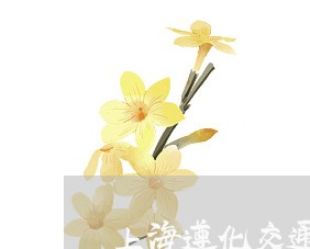 上海遵化交通事故处理选哪家/2023032295828