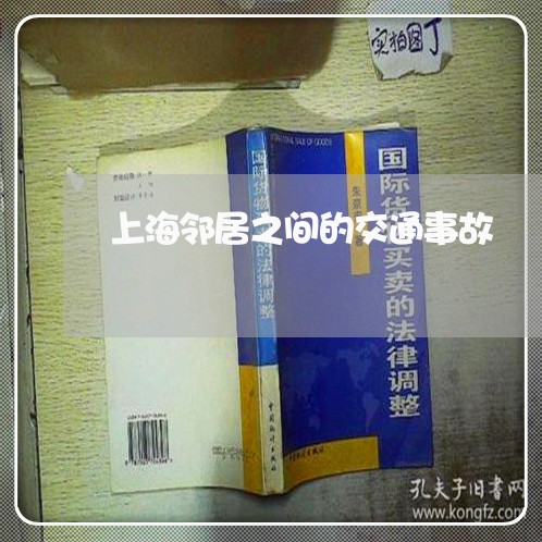 上海邻居之间的交通事故/2023041196828 上海邻居之间的交通事故/2023041196828