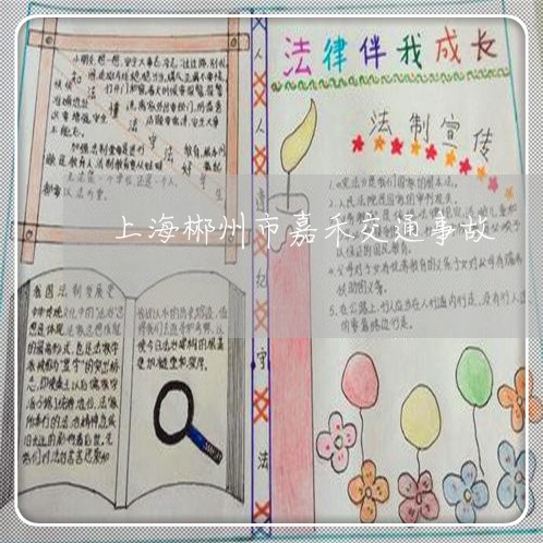 上海郴州市嘉禾交通事故/2023021589604 上海郴州市嘉禾交通事故/2023021589604