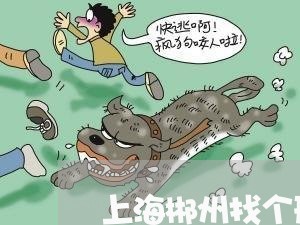 上海郴州找个刑事律师找谁好/2023032216027