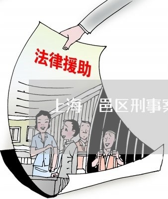 上海鄠邑区刑事案件律师/2023041083817