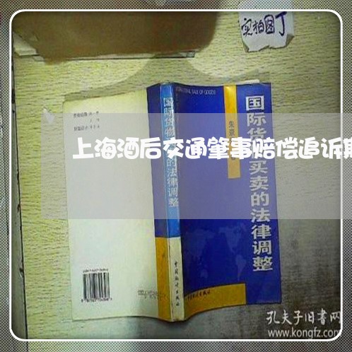 上海酒后交通肇事赔偿追诉期/2023032275980