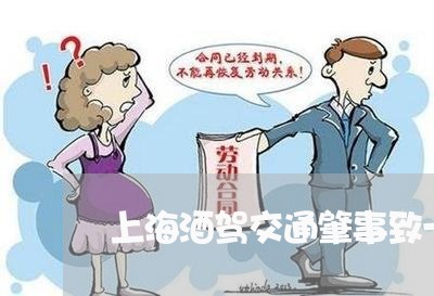 上海酒驾交通肇事致一人死亡/2023032295717 上海酒驾交通肇事致一人死亡/2023032295717