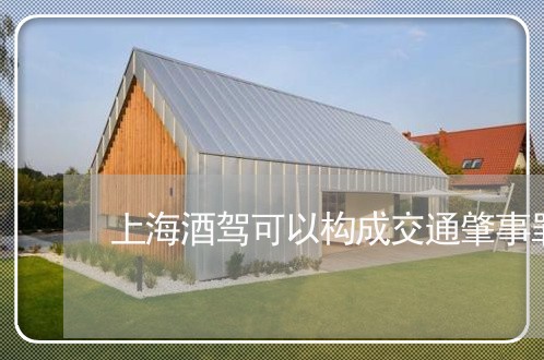上海酒驾可以构成交通肇事罪/2023032225937
